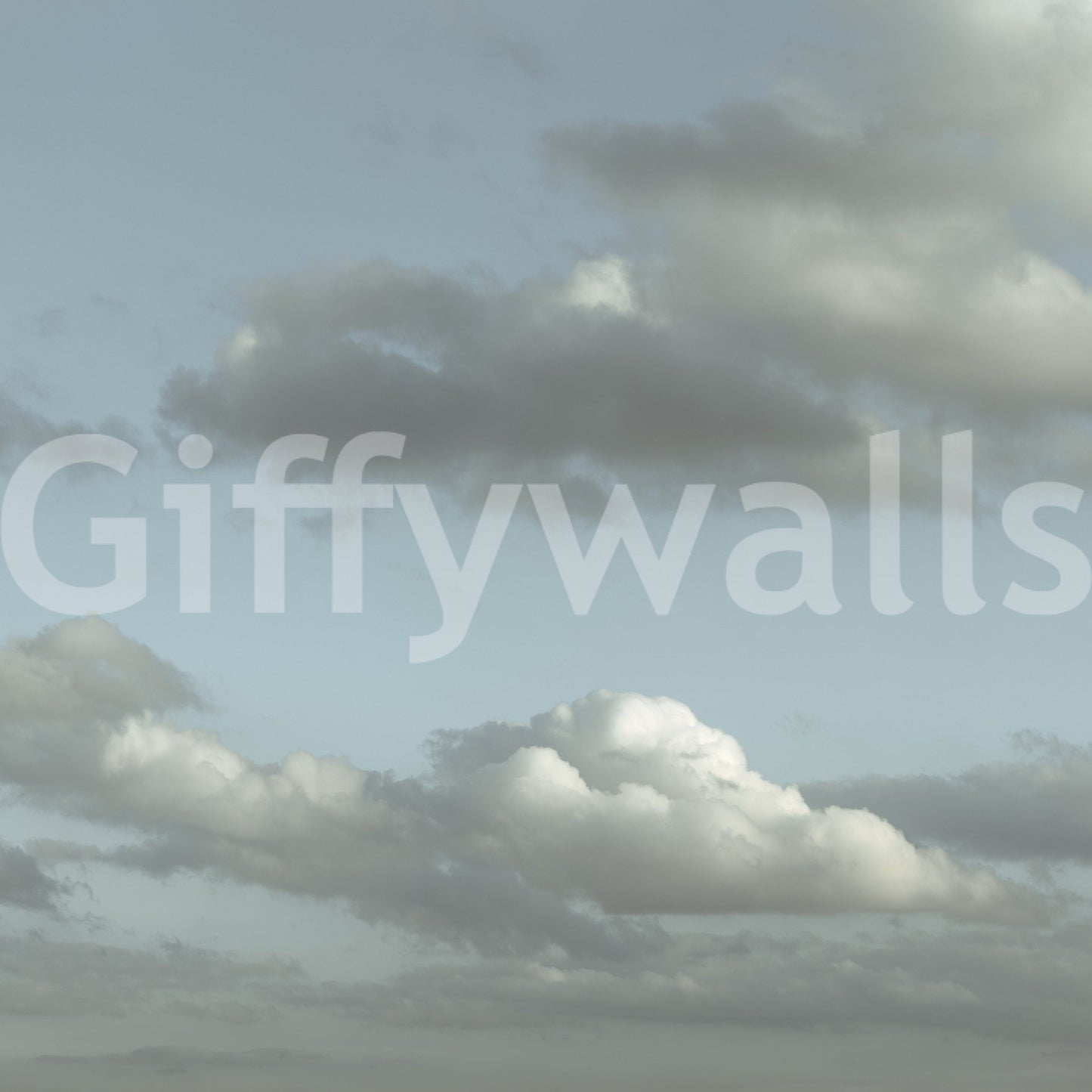 Blue Sky Wall Mural with soft gray clouds drifting across a pale blue open sky, GD8868