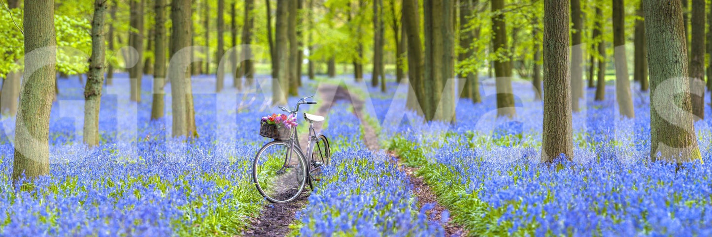 Dreamy bluebells and bicycle design for home decor

