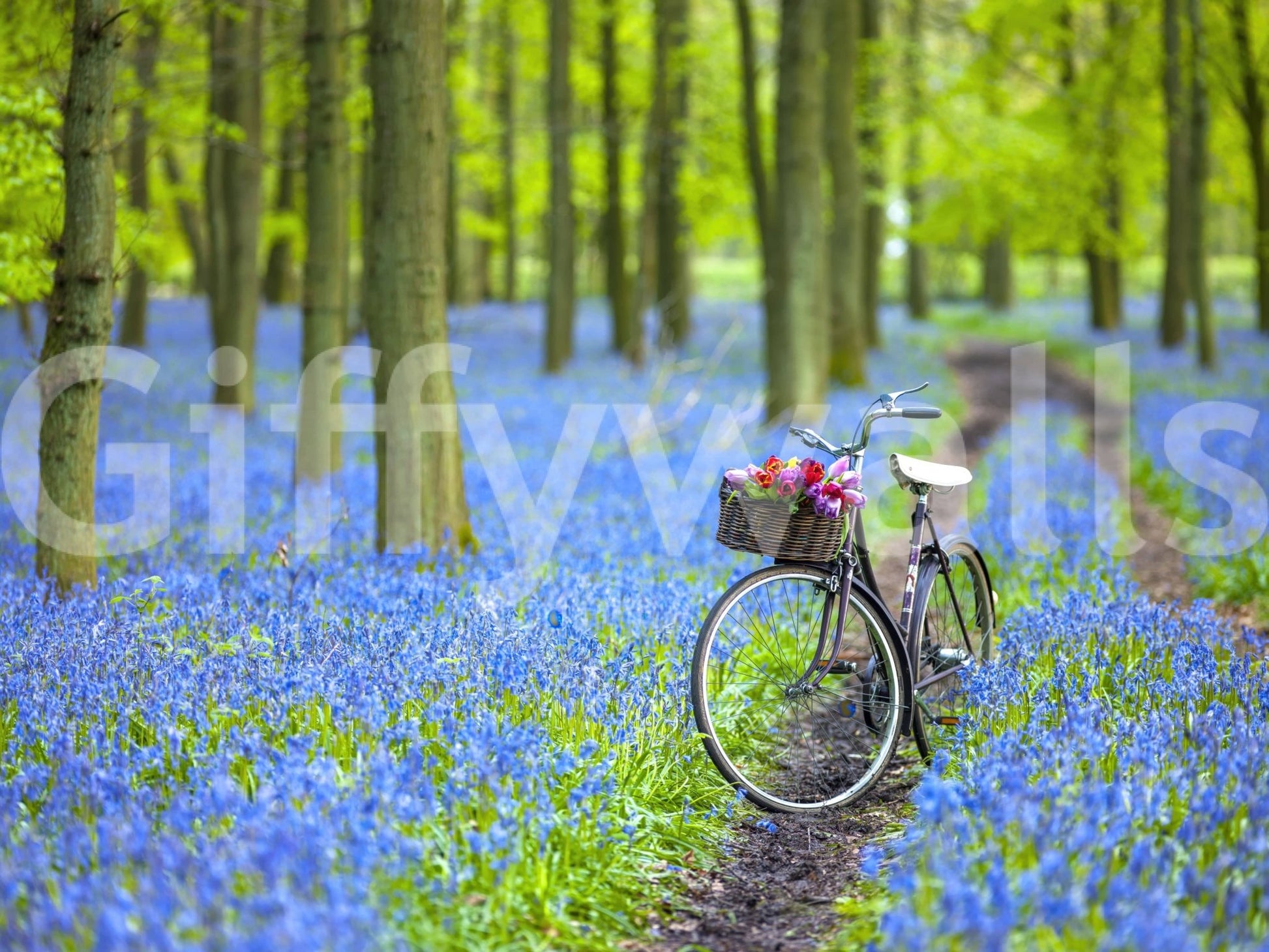 Colorful Bluebell Bike Ride wall covering, vibrant floral landscape.