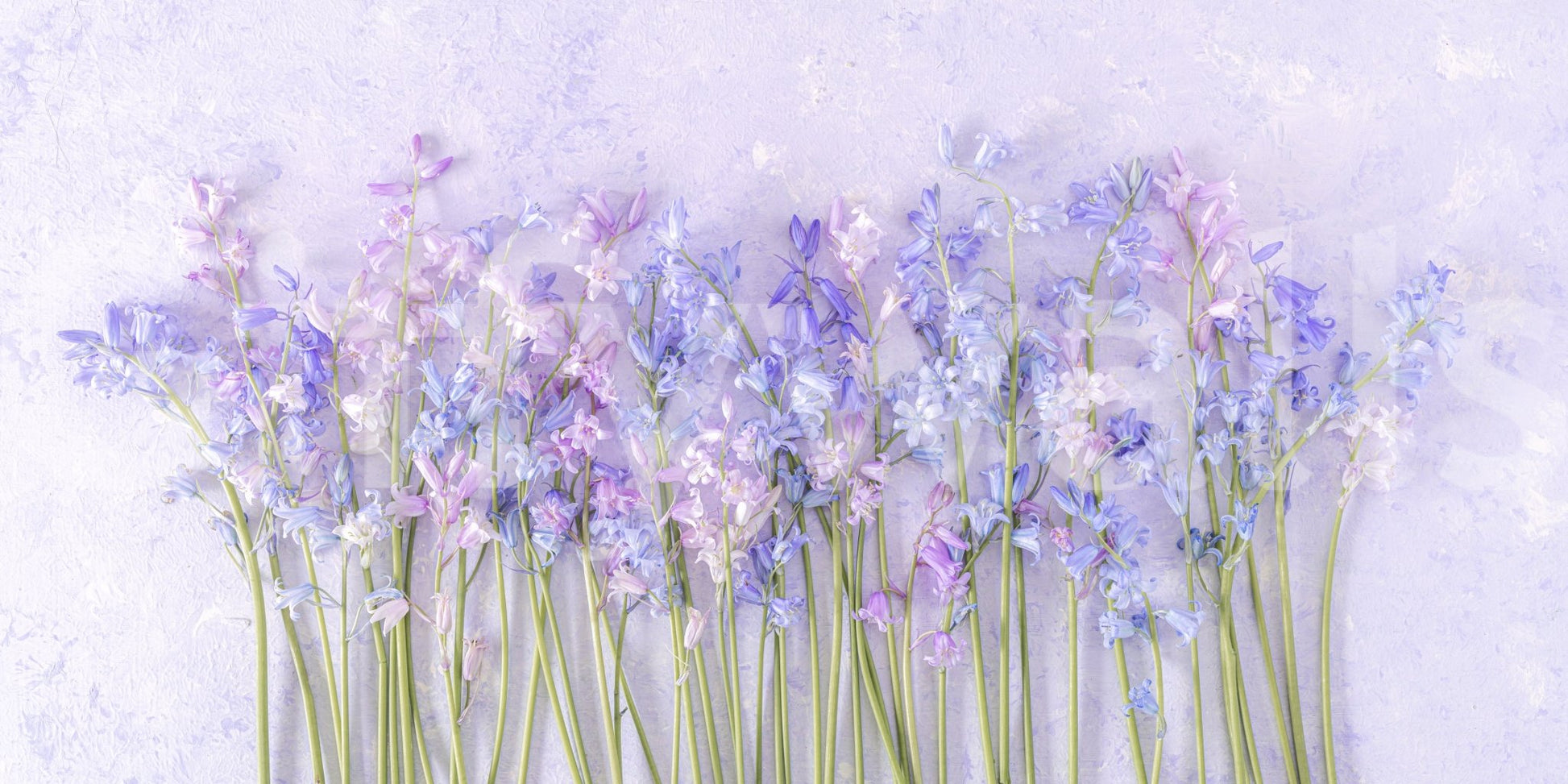 A detail of the warm tones in the flowers and greenery.

