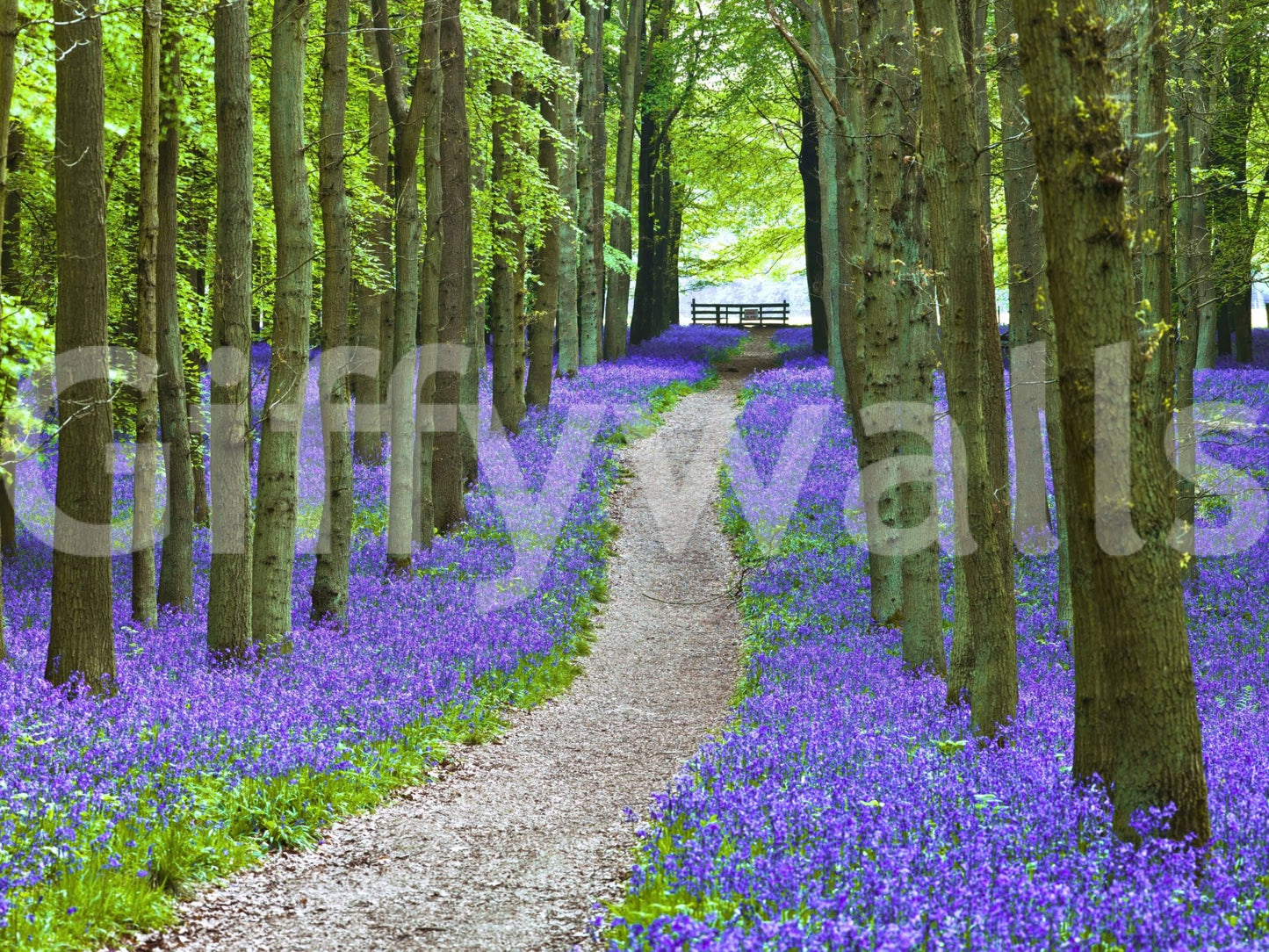 Bluebell Trail wallpaper mural Shady trees border a flower path.