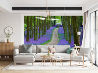 Serene forest path wall mural, winding Bluebell Trail view art.