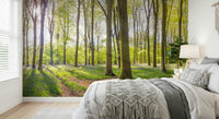 Wide panoramic forest view of the Bluebell Woods Wall Mural.