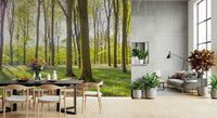 Detailed spring woodland on the Bluebell Woods Wall Mural print.