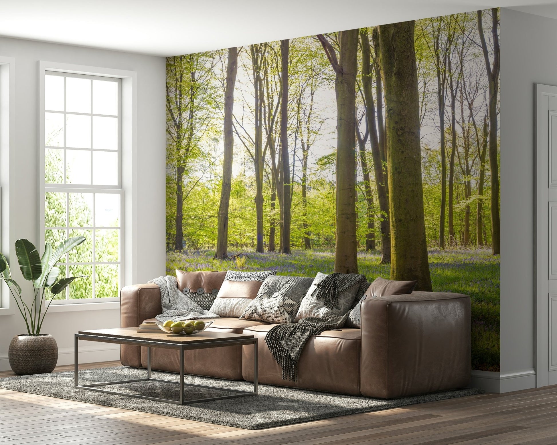 Sun shining through trees on Bluebell Woods Wall Mural print.