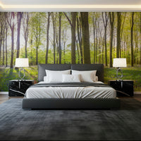 Bluebell Woods Wall Mural accent wall for a peaceful bedroom.