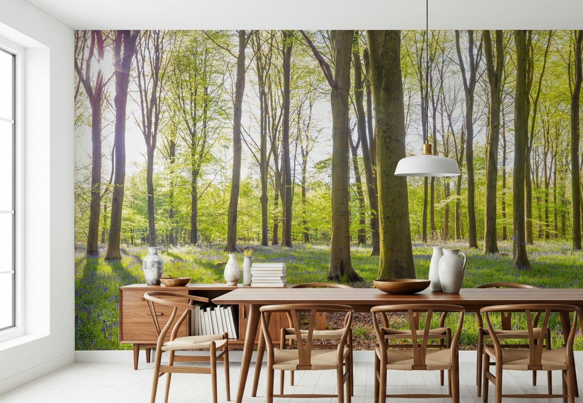 Tall tree trunks and sunlight on Bluebell Woods Wall Mural.