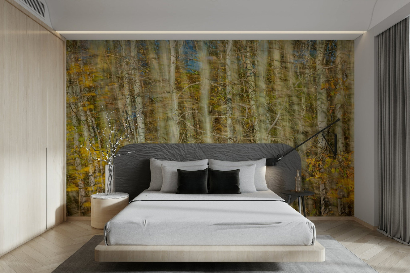 Blurred Autumn Forest Photography | Nature Art Print | Colorful Tree Landscape Wall Mural