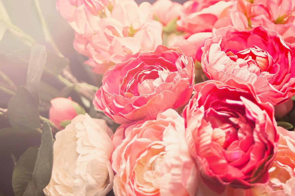 Blooming Pink Flowers Wallpaper Mural