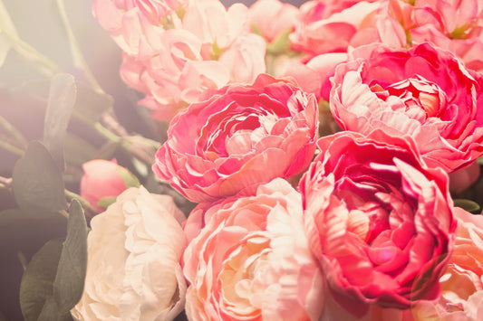 Blooming Pink Flowers Wallpaper Mural