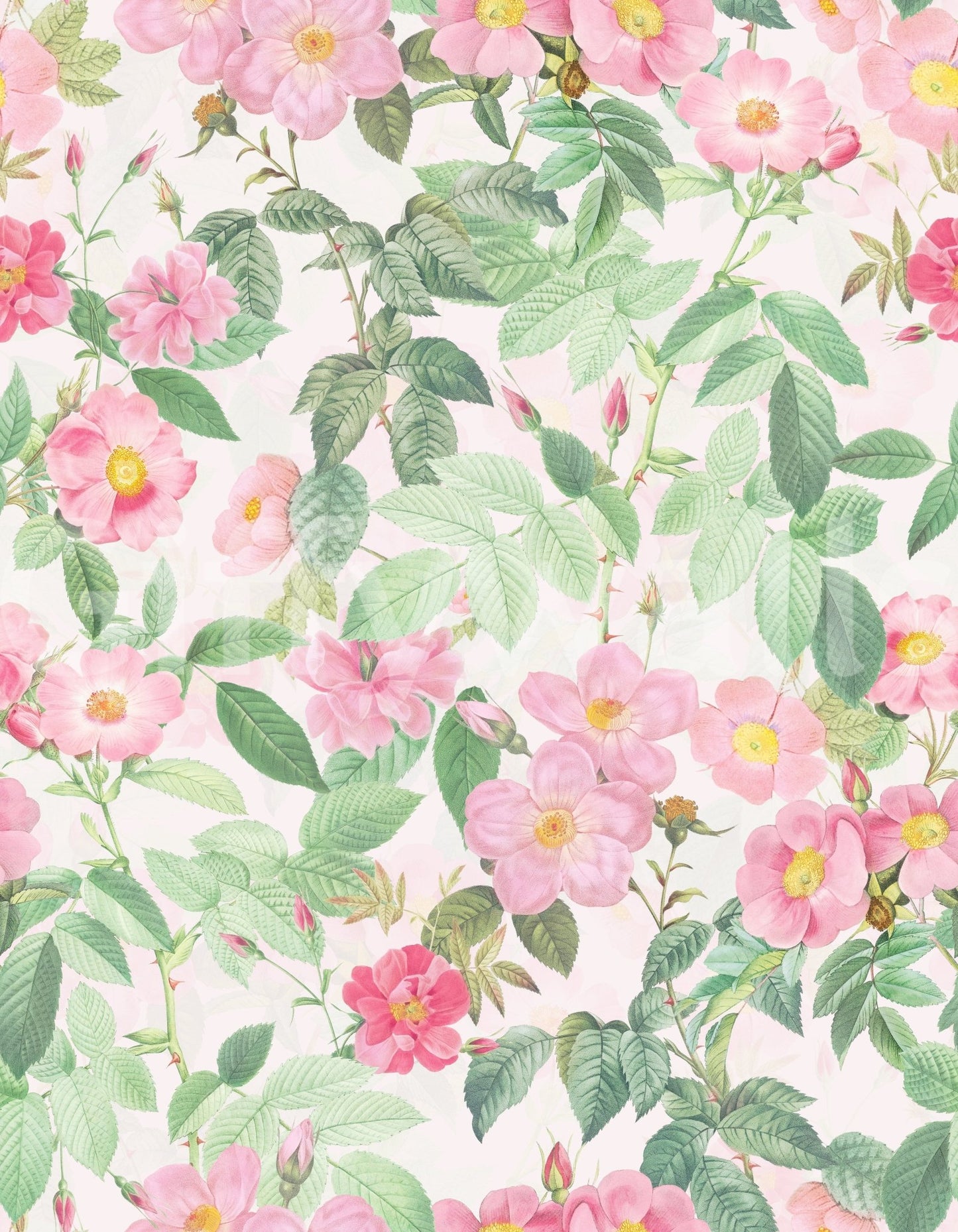 Charming blush rose garden wallpaper for modern spaces

