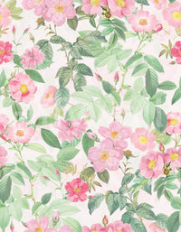 Charming blush rose garden wallpaper for modern spaces

