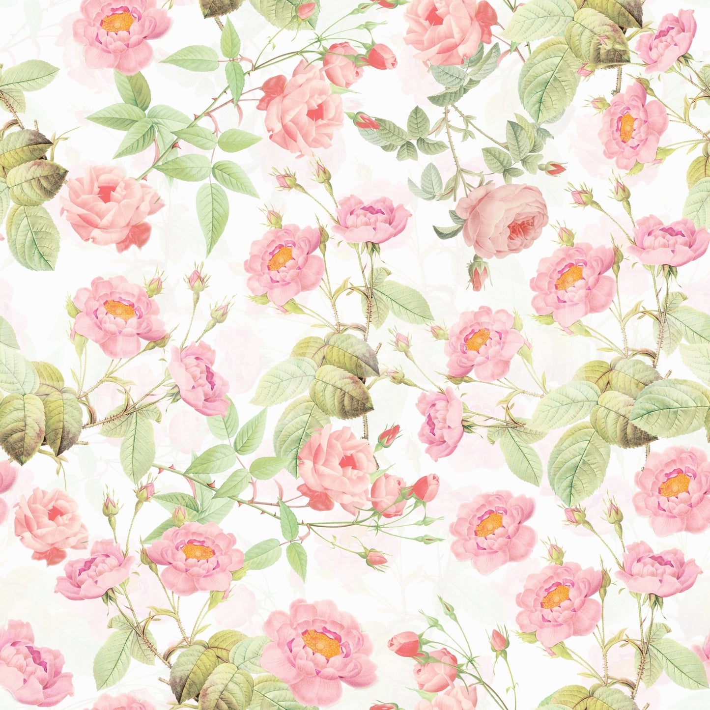Blushing Roses Wallpaper Wallpaper⁠