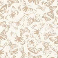 A seamless pattern of butterflies on a wall


