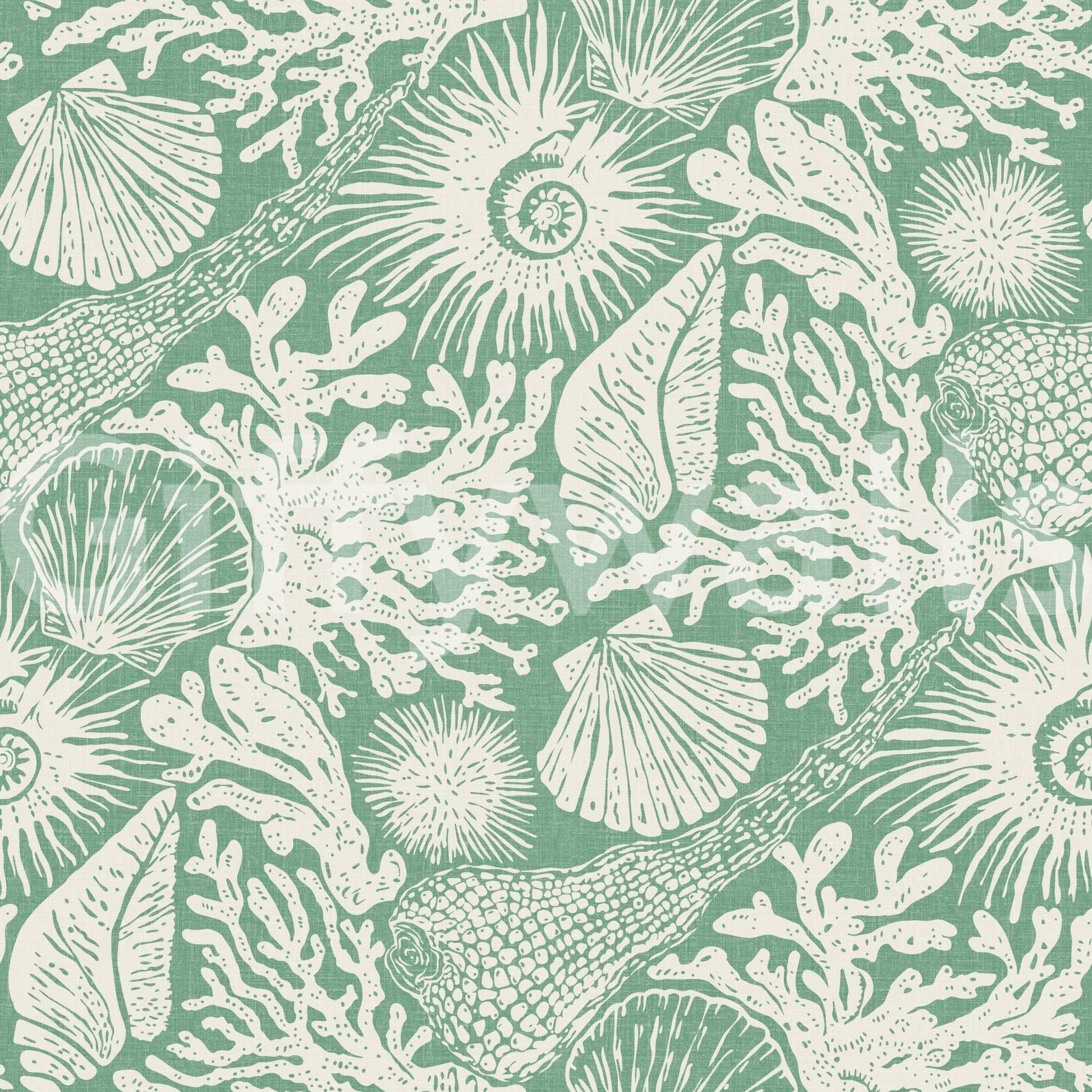 Boho Seashell Coral wallpaper layers reef textures, sponges, and ammonites in cream.GD9550