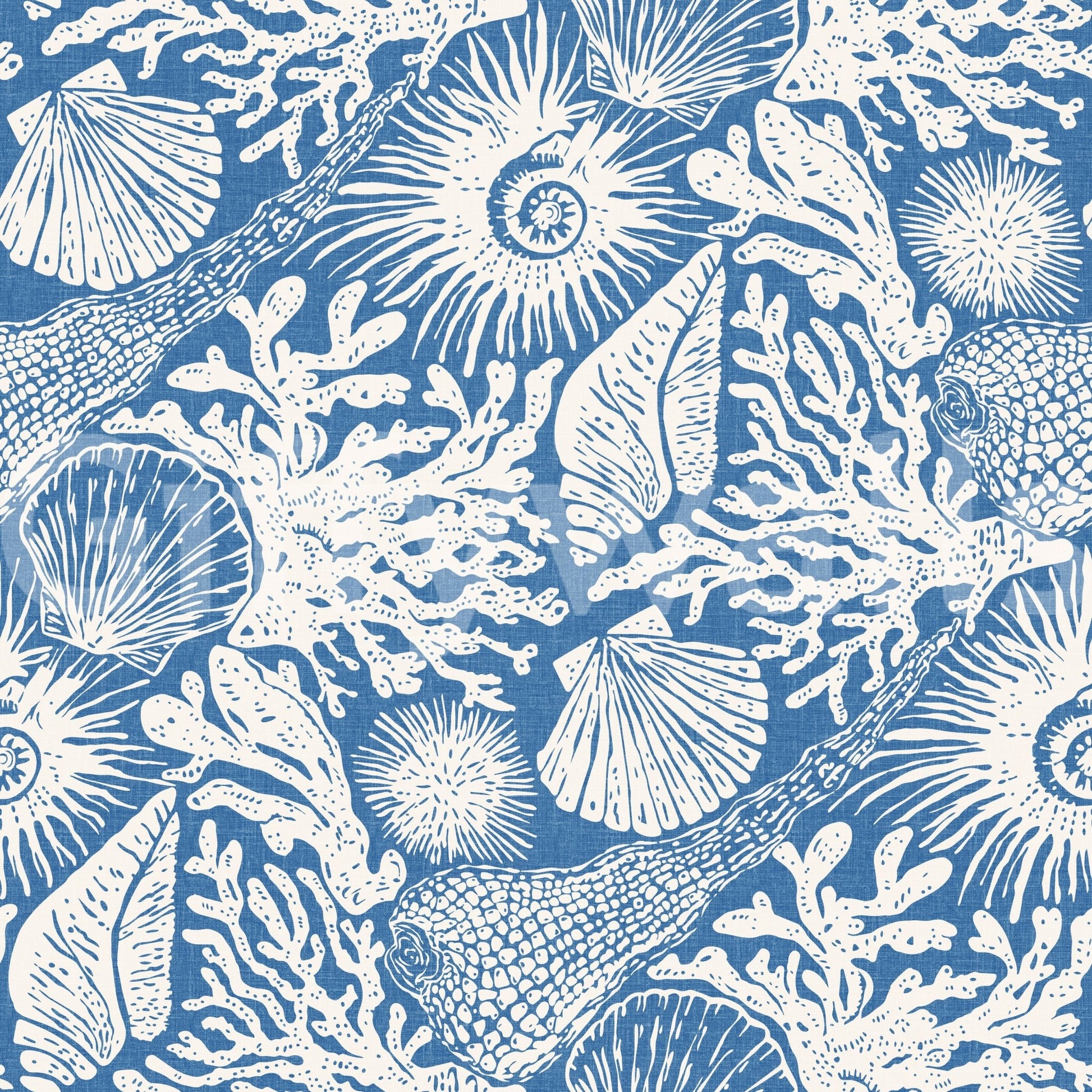 Reef branches, sponges, and ammonites balance across Seashell Coral Denim wallpaper.⁠GD9548