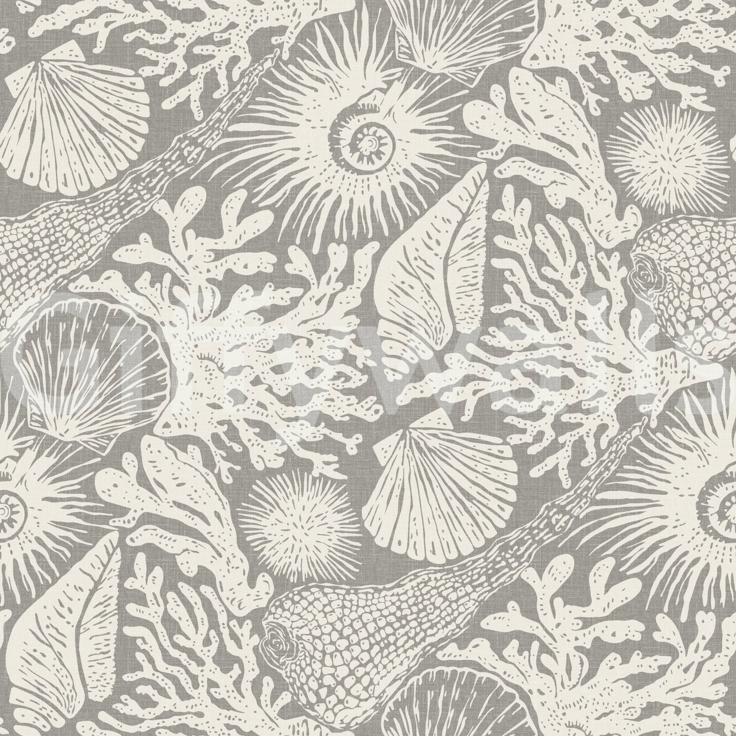 Ammonites curl beside reef branches in Coral Gray wallpaper.⁠GD9542
