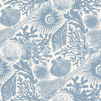 Sponges, reef branches, and curled ammonites pattern this Coral Muted Blue wallpaper.GD9545