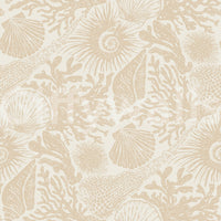 Reef branches, sponges, and ammonites layer through Boho Coral Sand wallpaper.GD9549