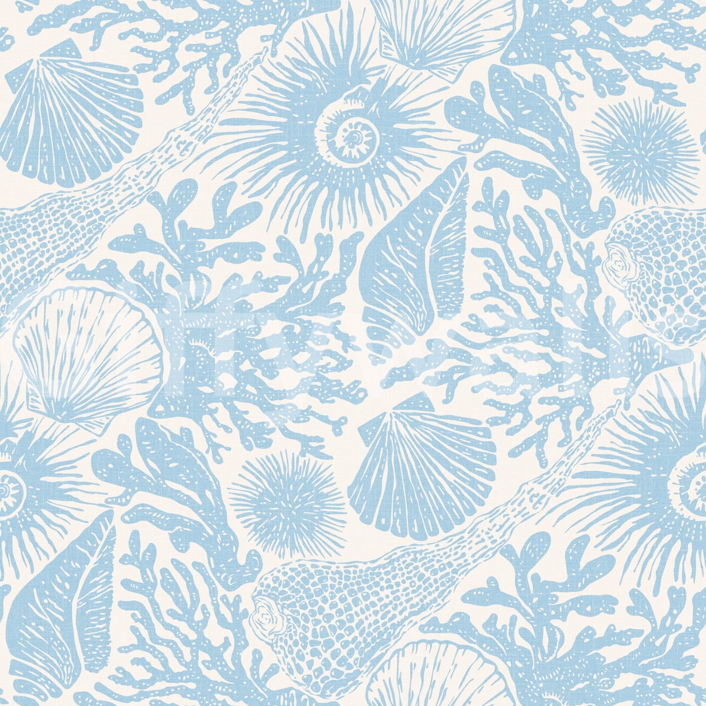 Ammonites curl beside reef branches in Coral Soft Blue wallpaper.GD9543