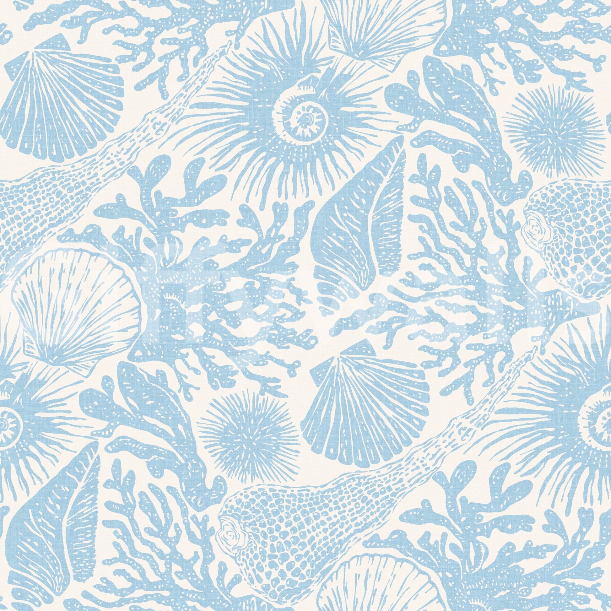 Ammonites curl beside reef branches in Coral Soft Blue wallpaper.GD9543