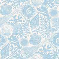 Ammonites curl beside reef branches in Coral Soft Blue wallpaper.GD9543