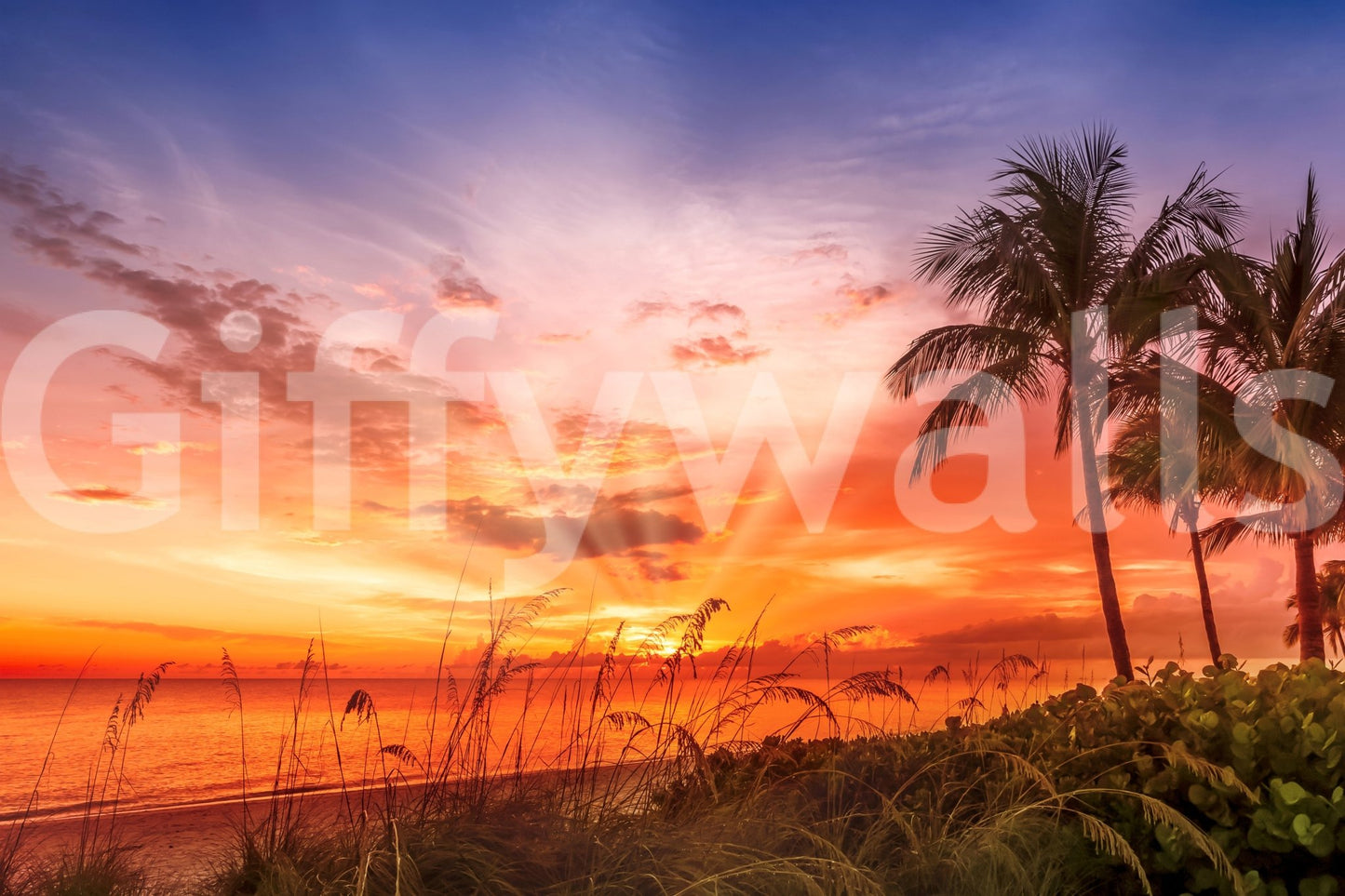 Soft-toned mural of Bonita Beach bathed in evening light., GD1486