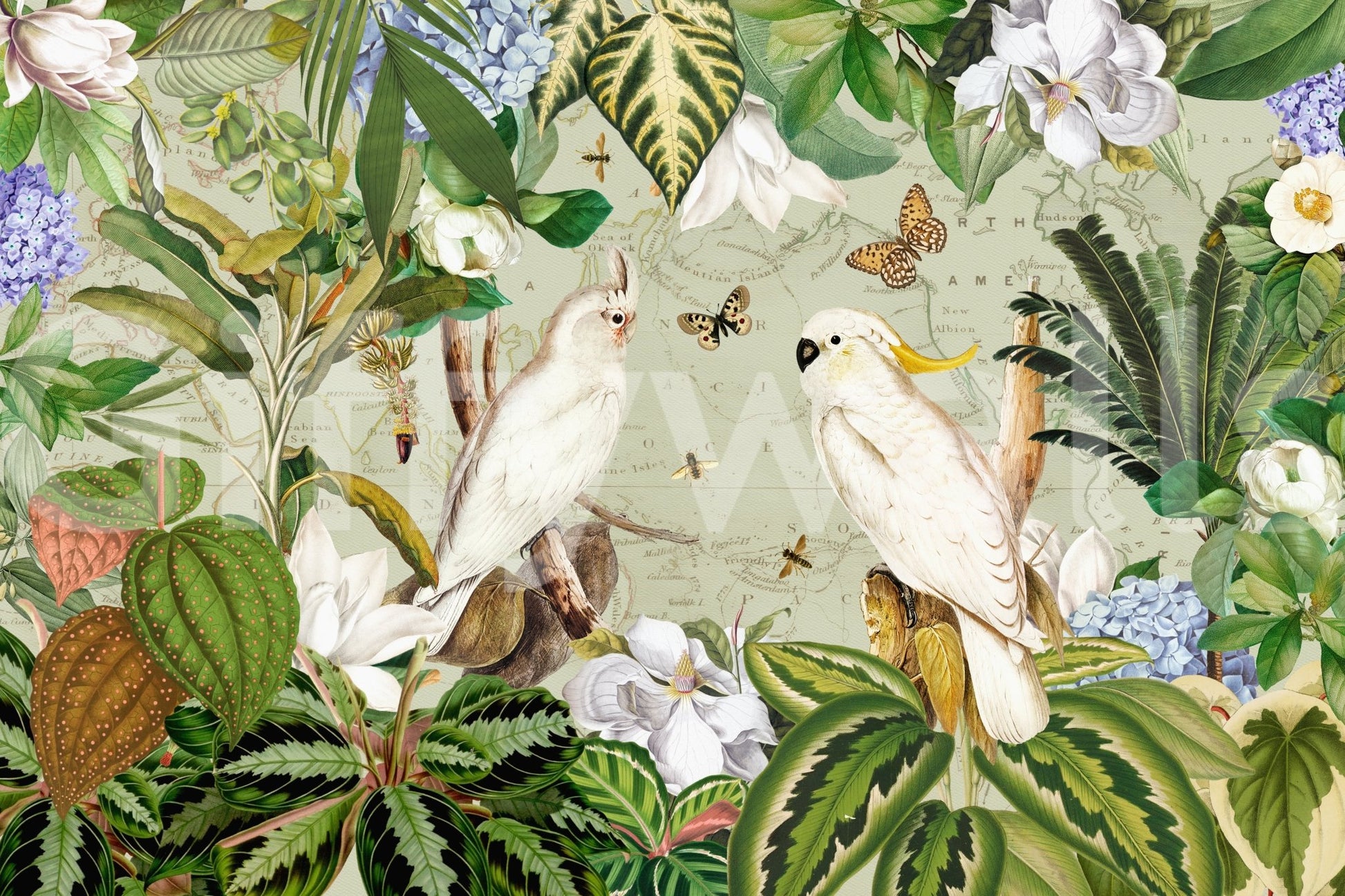 Bright and vibrant botanical explorer mural design.

