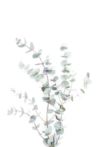 Modern botanical mural with detailed leafy textures

