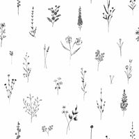 Tender Stem Black-White Wallpaper Botanical Sketch Wallpaper