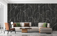 Boulder Beach Black Wallpaper Mural C506
