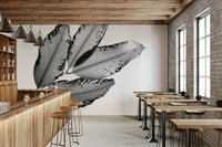 Crisp white background frames Branches and Leaves Wall Mural GD4891
