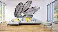 Quiet botanical composition, Branches and Leaves, 2016, 1 Wall Mural GD4891
