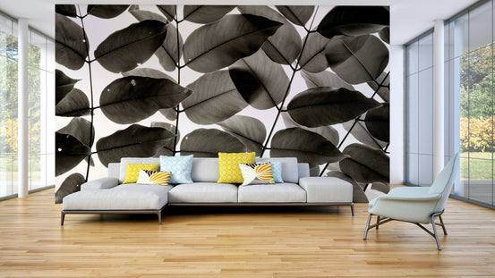 Branches and Leaves I Wall Mural with dense backlit monochrome canopy GD4970
