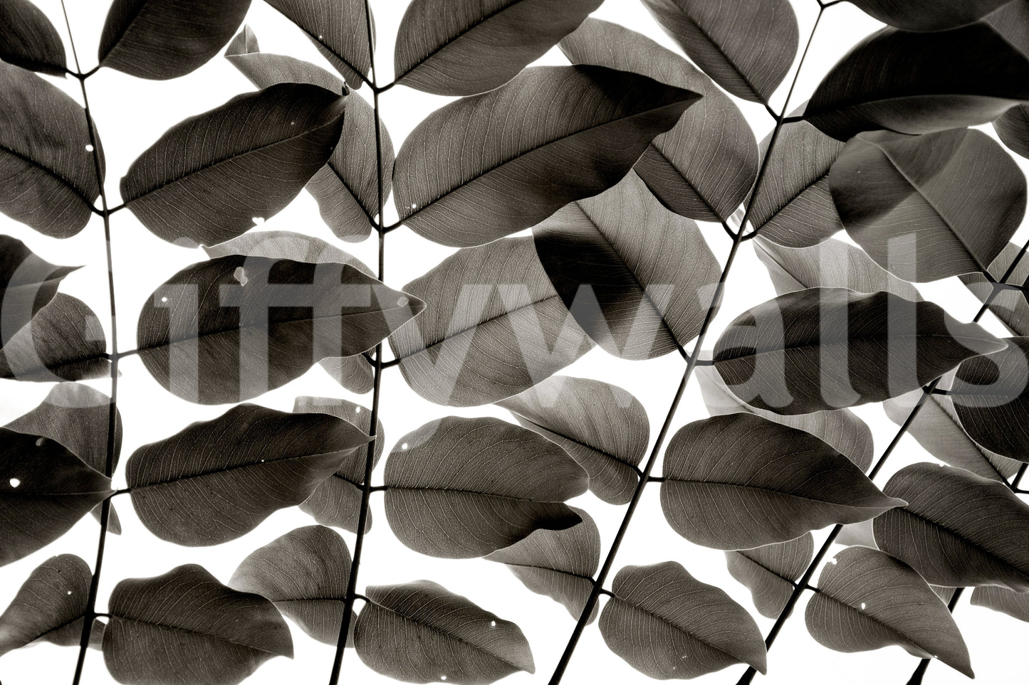 Branches and Leaves I Wall Mural