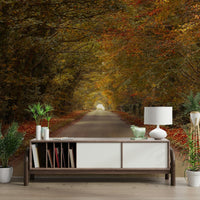 Seasonal autumn landscape mural
