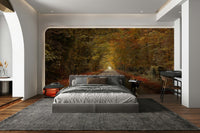 Autumn road through forest
