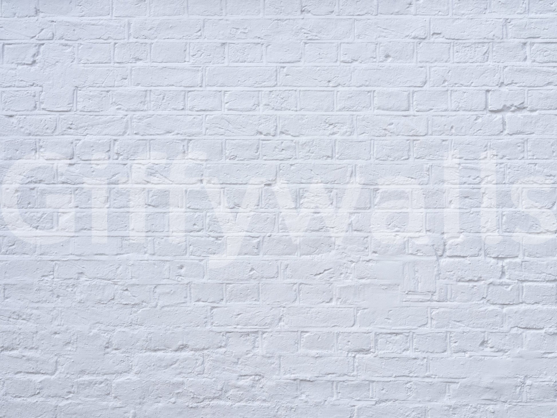 Close-up white brick pattern in Brick Detail Wall Mural with clean masonry detail