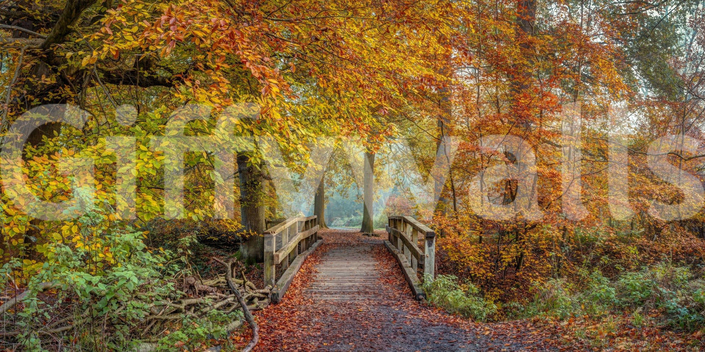 Bridging Seasons Wall Mural