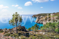 Brittany Vista wall mural with rocky coast, pine trees, and clear blue sea horizon