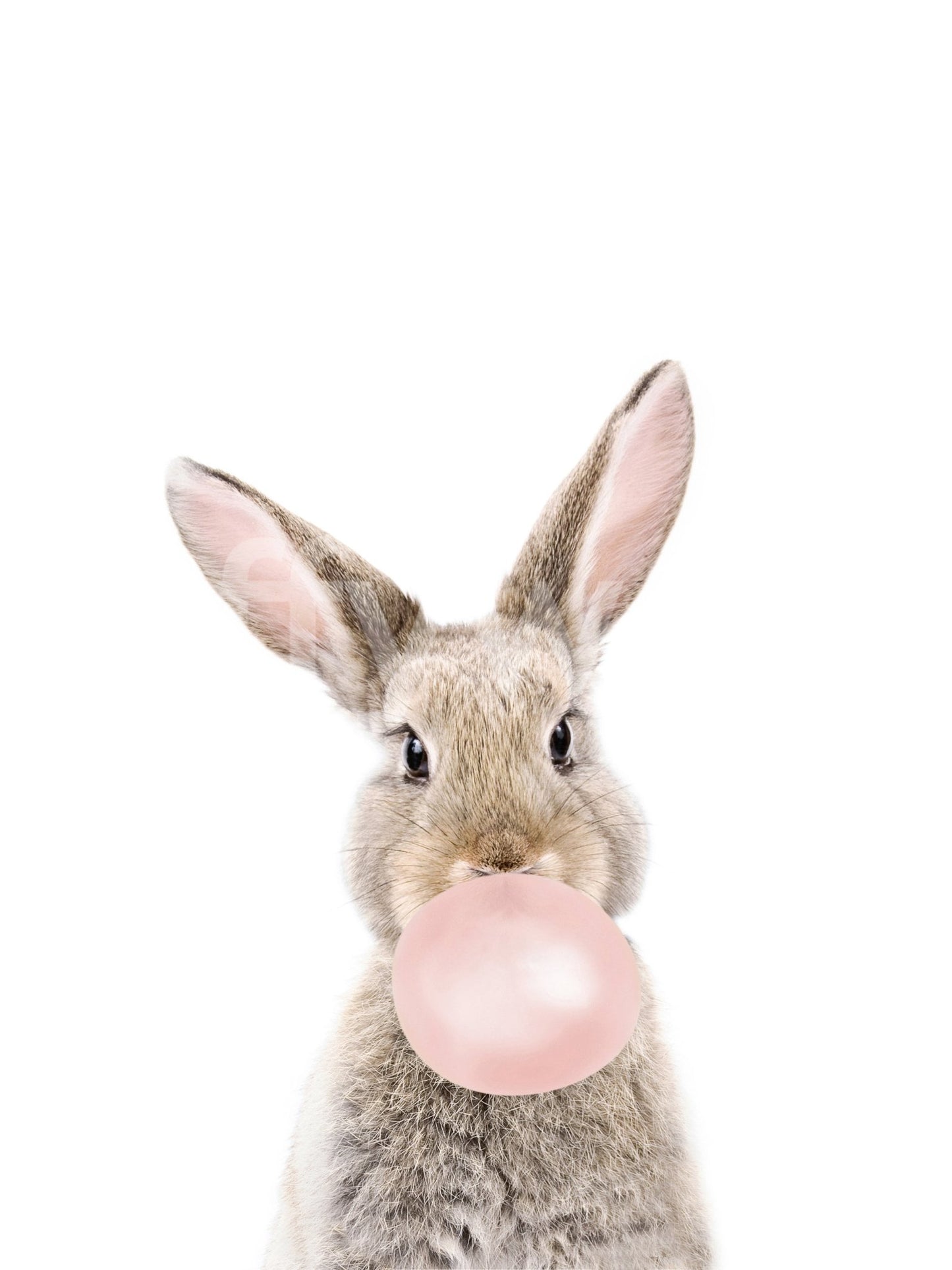 Cheerful bunny wall mural with bubble gum design.

