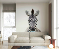 Unique bubble gum zebra design for room transformation.

