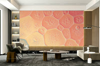 Floating rainbow bubbles on wall wallpaper

