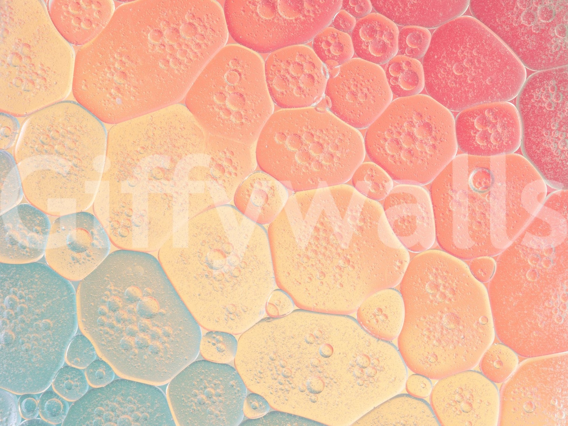 Joyful bubble wallpaper in multicolor tones

