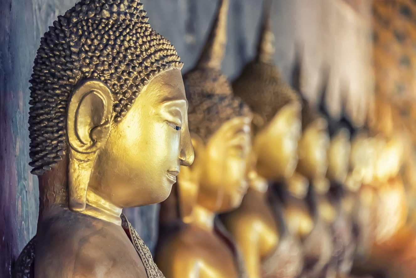 Buddha's Golden Gaze Wall Mural