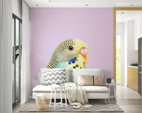 Living room decorated with budgie wall mural

