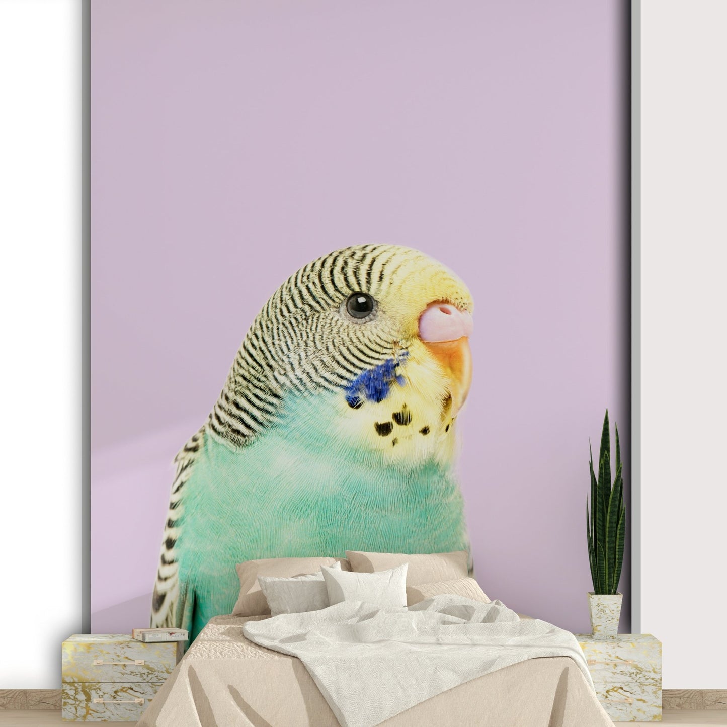 Budgie wall mural showing a colorful budgie bird

