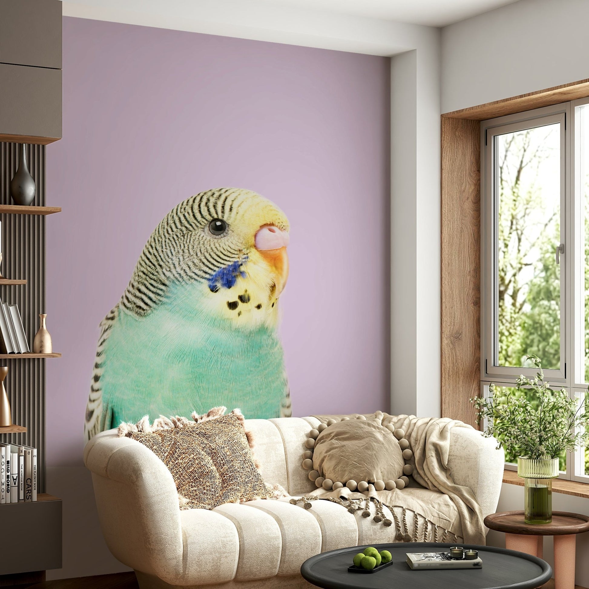Close-up of budgie bird in wall mural

