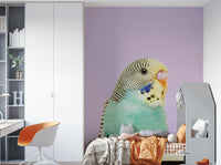 Budgie wall mural brightening a nursery wall

