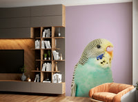 Wallpaper for walls with budgie and foliage


